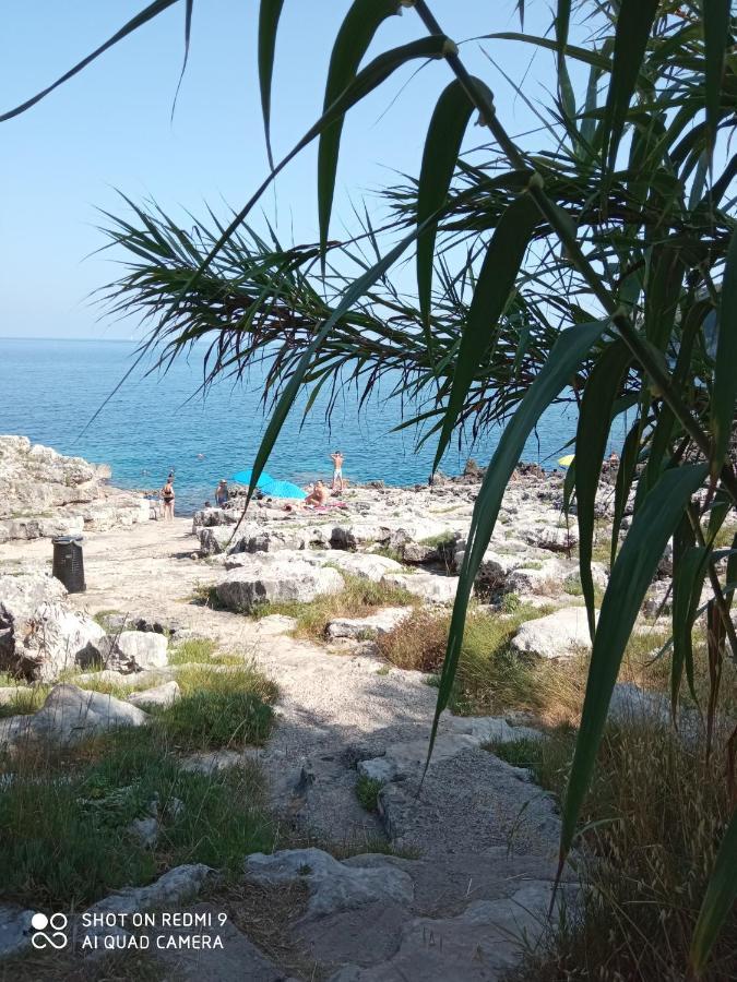 Apartmán La Mennula Garden Salignano  Exteriér fotografie